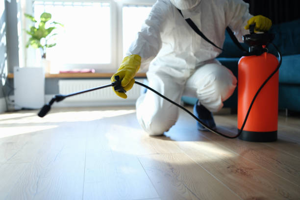 Trusted Zephyrhills North, FL Pest Control Experts