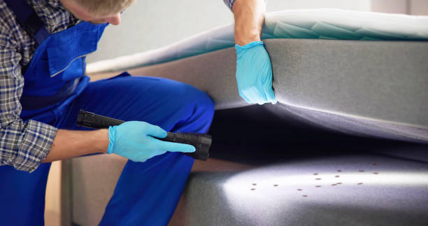 Best Ant Control Services  in Zephyrhills North, FL