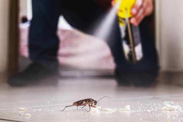 Best Pest Prevention Services  in Zephyrhills North, FL